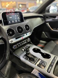 کیا ستینگەر